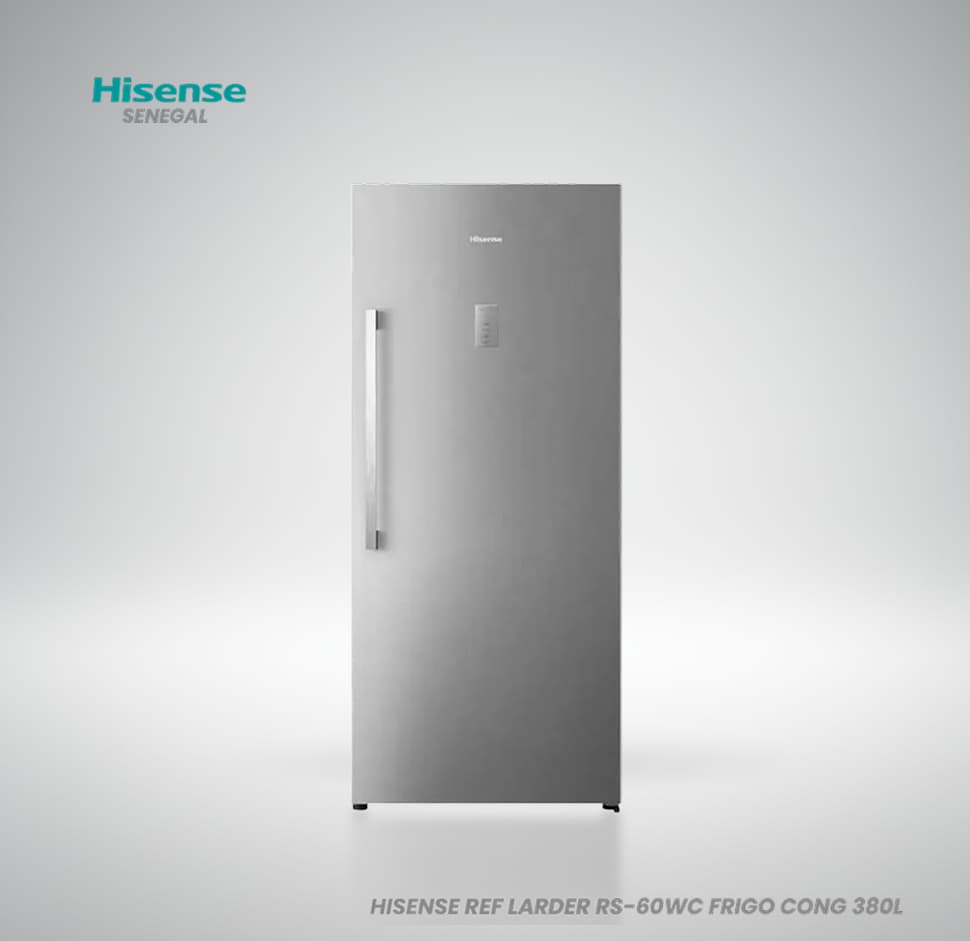 Réfrigérateur combiné Hisense RS-60WC 380 litres finition inox classe A++
