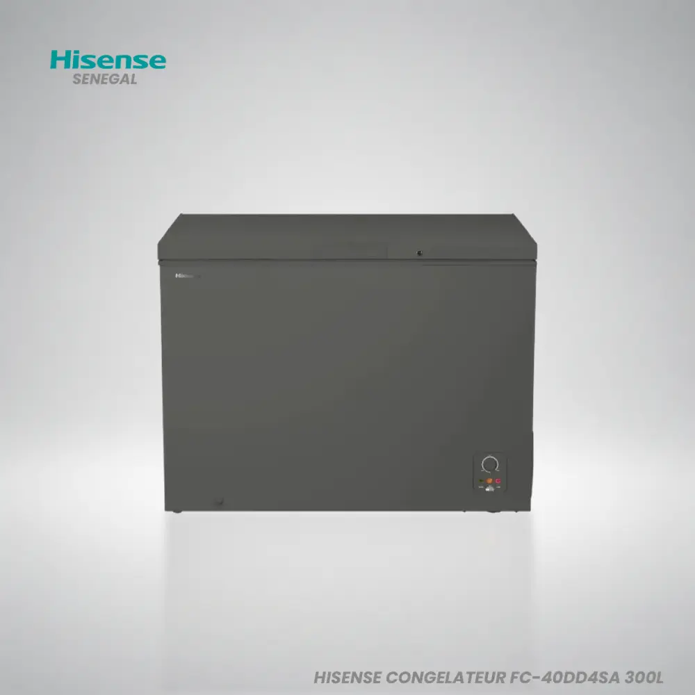 Hisense Congélateur FC40A 300L