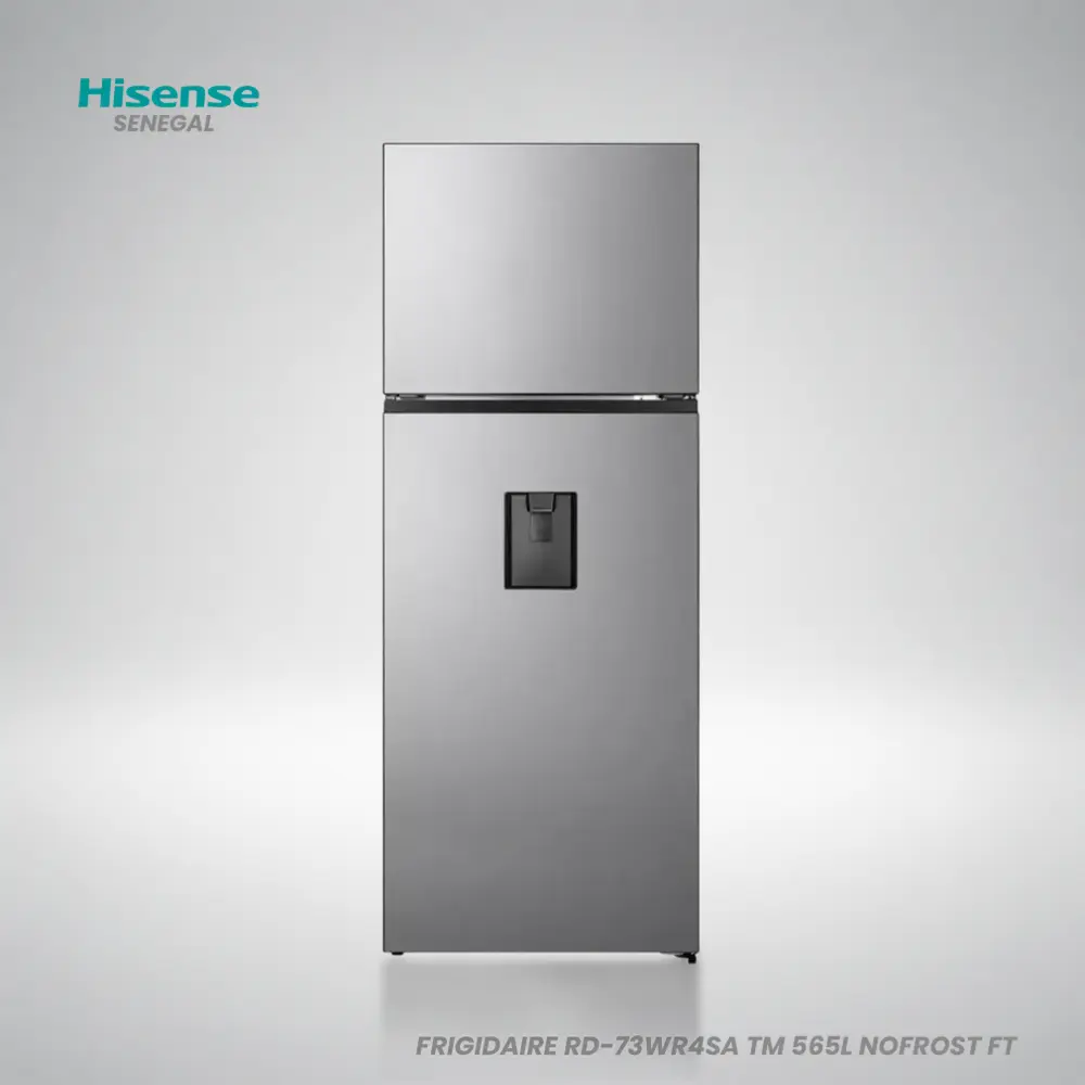 Hisense REF RD-73WR4SA TM 565L