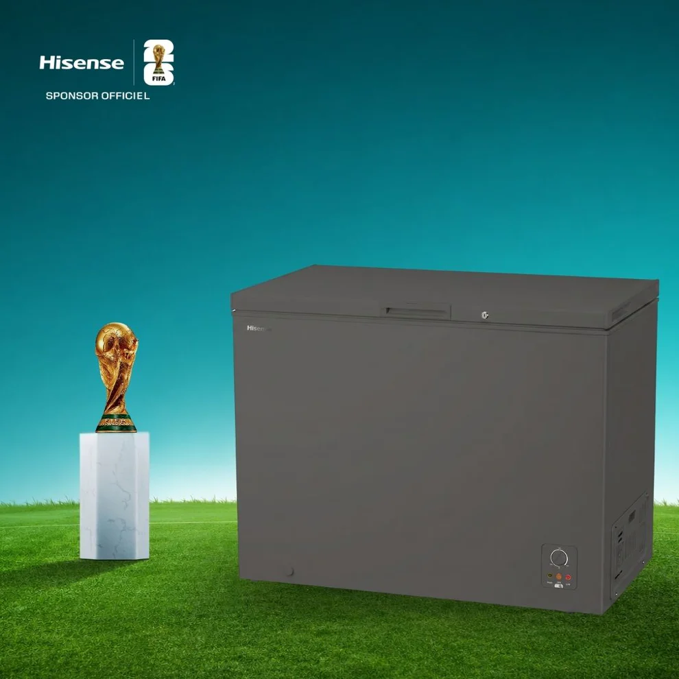 Hisense Congélateur FC-410DD 112 cm Inverter