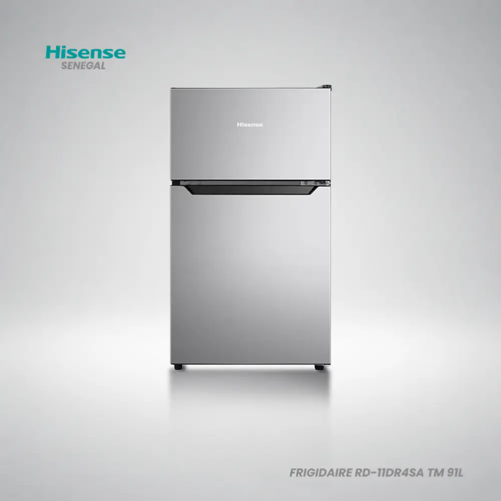 Hisense REF RD-11DR4SA 91L